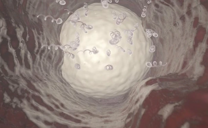 Đã có biện pháp tránh thai mới không cần bao cao su, đàn ông cứ "làm" như bình thường