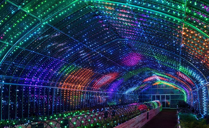 Nông dân Nhật Bản giới thiệu dàn nhạc “kỹ thuật số” từ rau củ đầu tiên trên thế giới