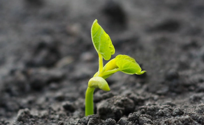 Mục đích của sự sống là gì? Theo nhà khoa học này, ta tồn tại là để Vũ trụ này sinh sôi thêm các Vũ trụ khác