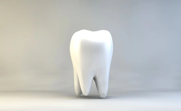 Các nhà khoa học đã tìm ra một phương pháp làm liền răng sâu mà chẳng ai ngờ tới