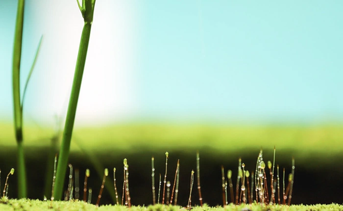 Trên tay nhanh Canon EOS 6D Mark II: bản nâng cấp đáng giá từ đàn anh 6D