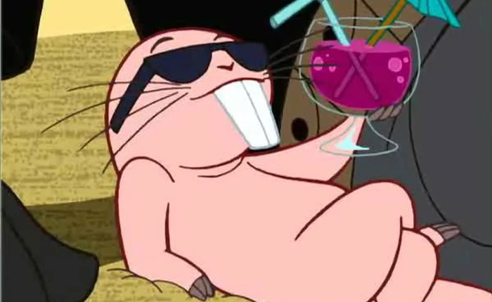 Nguyên nhân tại sao chuột chũi Đông Phi có thể sống sót trong 20 phút mà không cần oxy