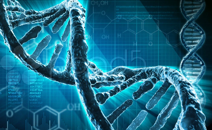 Đây là 8 đột biến gen có thực cho bạn khả năng đặc biệt như một siêu nhân