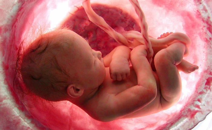 Kỷ nguyên nhân bản người đang đến, và chúng ta vẫn còn chưa quyết định được có nên làm vậy hay không