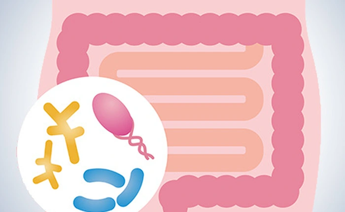Cuộc trò chuyện với vi khuẩn đường ruột là thứ quyết định bạn ốm yếu hay khỏe mạnh