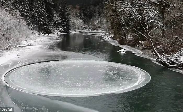 Lý giải hiện tượng đĩa băng xoay bí ẩn: ta đã biết tại sao nó vừa tròn lại vừa xoay