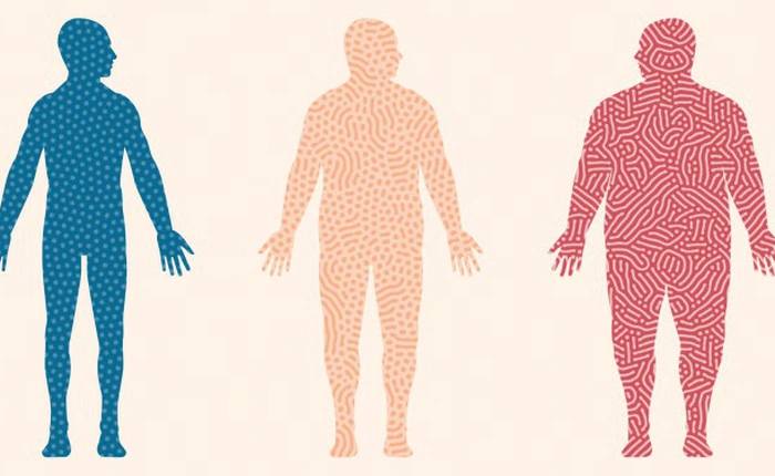 20 năm nghiên cứu đã kết luận: Chất béo không khiến cho bạn béo