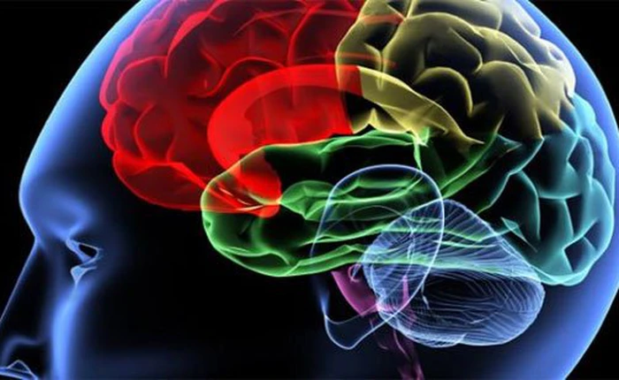 Người thường xuyên rơi vào cảnh tắc nghẽn giao thông có tỷ lệ mắc bệnh mất trí nhớ cao hơn bình thường