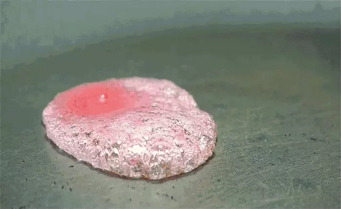 Chỉ bằng chiếc smartphone, anh chàng này đã tạo ra đoạn video tuyệt hảo đủ làm "tan chảy" mọi con tim của người xem