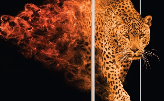 Samsung ra mắt Galaxy C9 Pro: Smartphone sở hữu sức mạnh cao cấp với RAM 6GB, chip 8 lõi, màn hình 6 inch, pin 4.000mAh