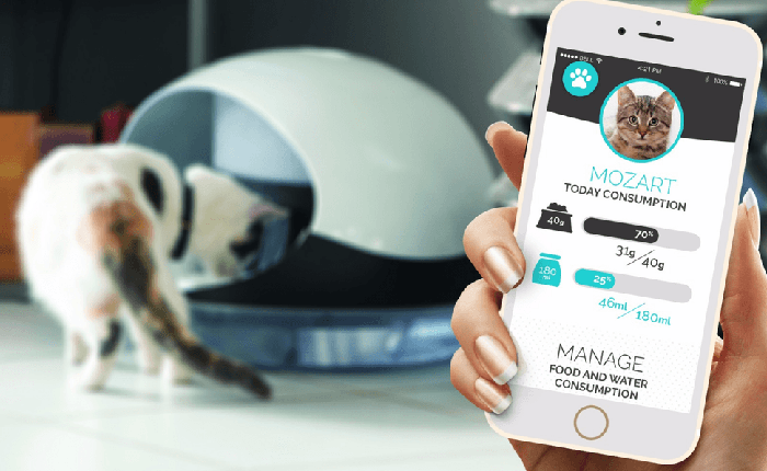 [CES 2017] Xuất hiện cả máy "nuôi" thú cưng, con người đã không thể lười hơn được nữa