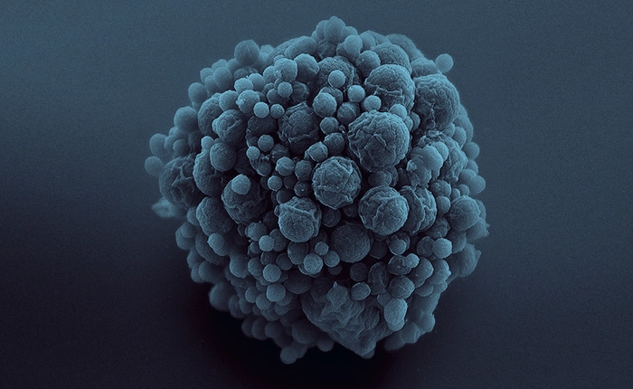 Các nhà khoa học vừa bước một bước tiến dài tới cái đích "tạo nên sự sống nhân tạo"