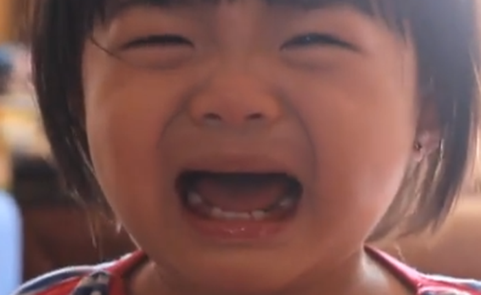 Google mắc lỗi nhỏ khiến cho nửa nước Nhật mất mạng Internet