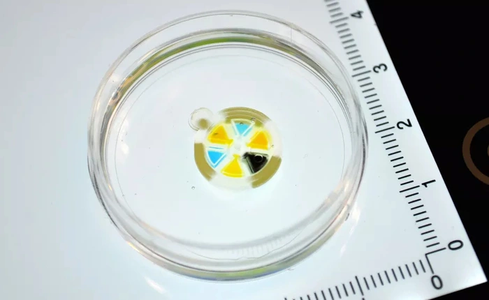 Robot siêu nhỏ có khả năng truyền hóa trị chữa ung thư trực tiếp vào khối u, cực kỳ hiệu quả và an toàn