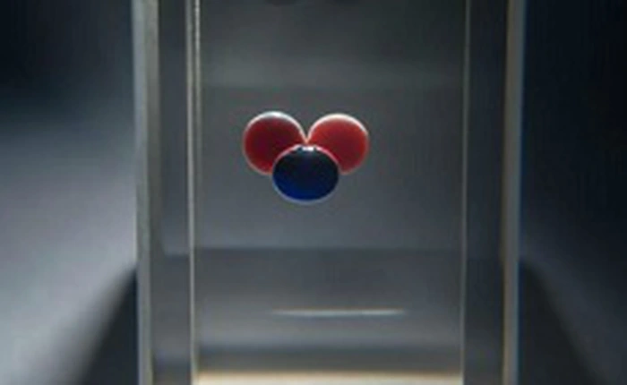 Đây là "Chit", ổ cứng 1-bit đầu tiên trên thế giới được tạo thành từ 3 giọt hóa chất