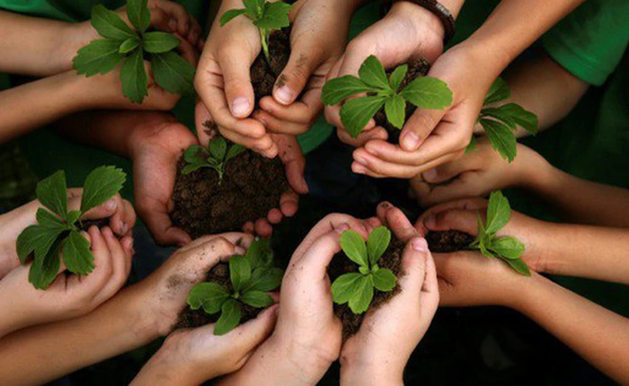 Thế giới Di động "thưởng" nghìn tỷ để giữ lòng trung thành của nhân viên, nhưng với họ, tiền không phải là tất cả