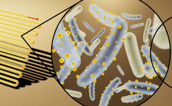 Pin mặt trời có thể quang hợp gấp 40 lần thực vật, nhờ vào vi khuẩn cyborg