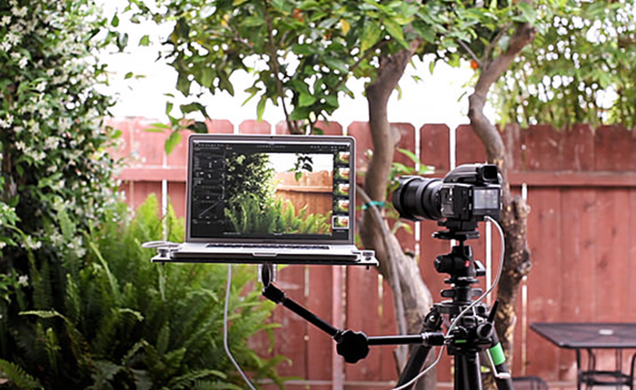 Toàn bộ khóa học nhiếp ảnh của Đại học lừng danh Harvard đang được miễn phí, tham gia ngay khi có thể