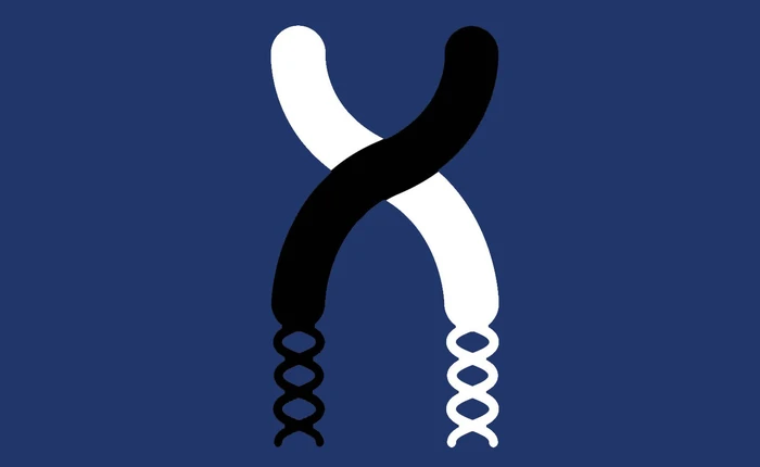 Các nhà khoa học vừa tiến hành hack một tế bào, tái lập trình nó như một chiếc máy tính thông thường