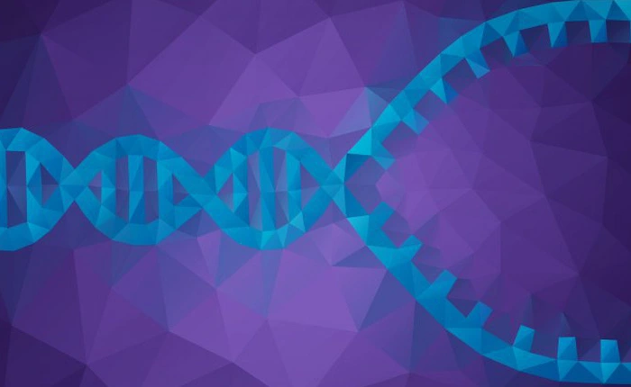 Lần đầu tiên trong lịch sử khoa học, quá trình sao chép của một DNA được ghi hình lại