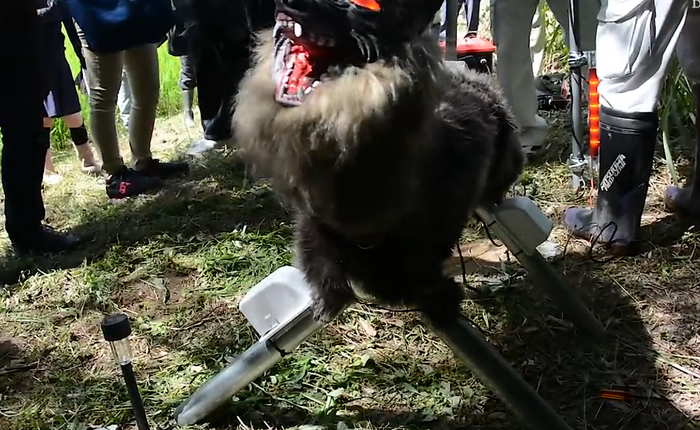 Đây là robot Quái vật Sói tại Nhật, mang trong mình linh hồn của loài sói Hokkaido đã bị tuyệt chủng xưa kia