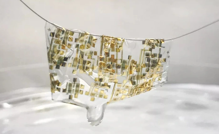 Các nhà khoa học tạo ra thiết bị điện tử đeo tay nhẹ đến mức treo được trên sợi tóc, bị tiêu hủy trong giấm