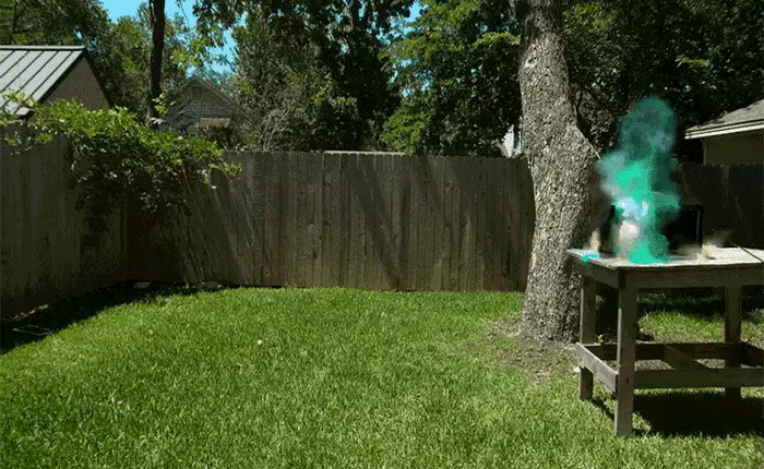 Lò vi sóng chỉ dùng để nấu ăn, đừng nấu cái khác nếu không muốn biến nó thành tên lửa