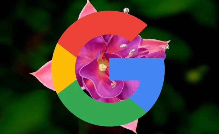 Fuchsia OS của Google trông giống như một phiên bản đại tu của Android