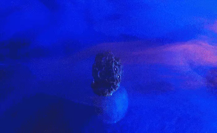 Đoạn video này hoàn toàn là thật nhưng chắc chắn khi xem bạn sẽ tưởng nó được dựng từ đồ hoạ máy tính