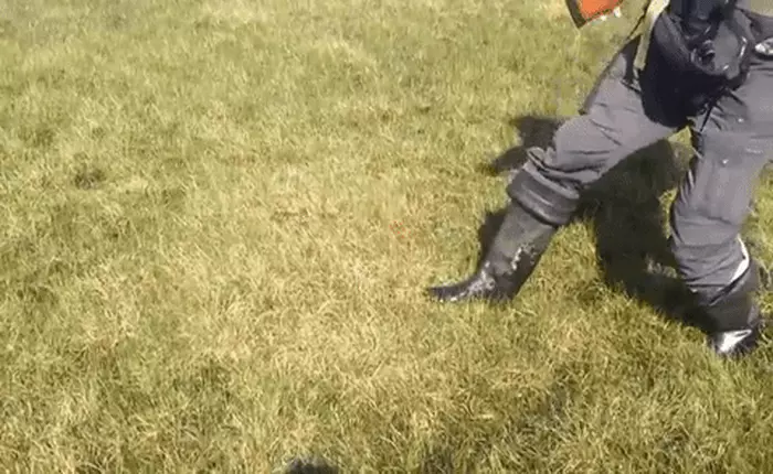 Những khu đất nảy như thạch rau câu này đang có rất nhiều ở Siberia, và chúng có thể phát nổ bất cứ lúc nào