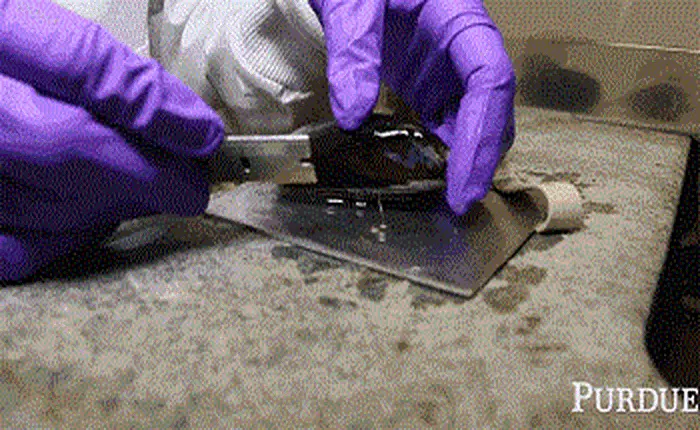 Các nhà khoa học tạo ra loại keo sinh học mới, có thể hoạt động dưới nước