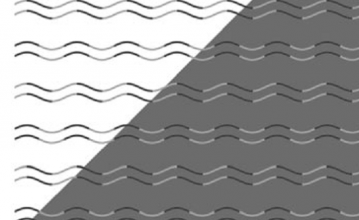 Ảo giác quang học đặc biệt này sẽ khiến bạn phải “căng mắt” nhìn xem chúng có dạng zig-zag hay hình sin