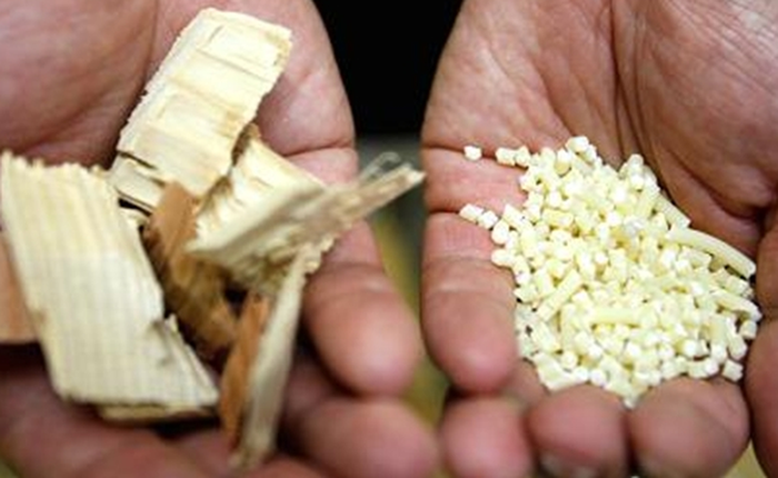 Nhật Bản muốn lấy gỗ làm phụ tùng ô tô cho nó nhẹ