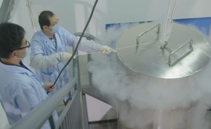 Người phụ nữ Trung Quốc đầu tiên được "đông lạnh" để chờ ngày hồi sinh