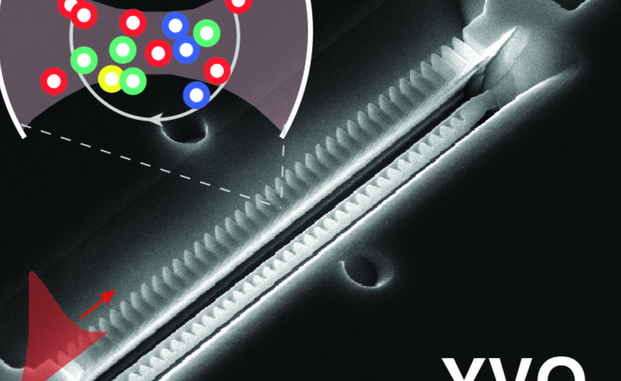 Kim loại hiếm Neodymium có thể sẽ là chìa khóa mở ra tương lai cho Internet lượng tử