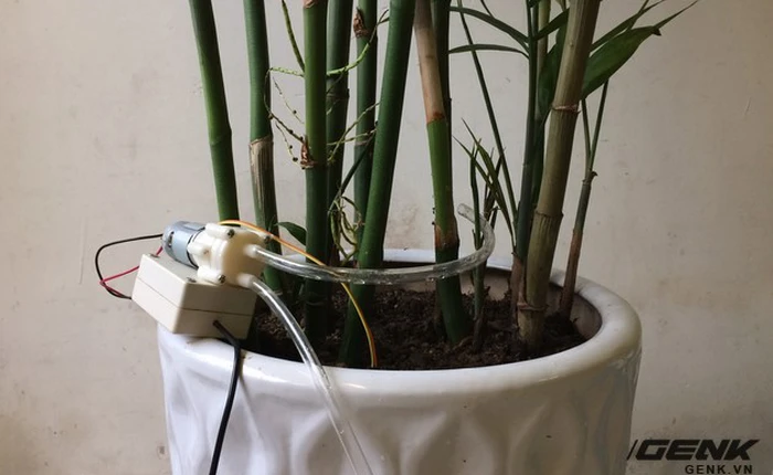 Là kẻ lười biếng, ham ngủ nhưng mẹ bạn cứ bắt 6 giờ sáng dậy tưới cây? Đây là giải pháp giúp bạn ngủ thoải mái đến 10 giờ!