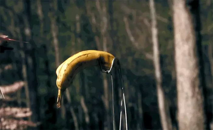 Thấy Fruit Ninja trên di động quá chán, anh chàng này tái hiện lại game ngoài đời thật với drone và dao rọc giấy