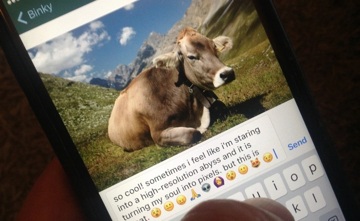 Binky: ứng dụng vô dụng nhất mọi thời đại nhưng lại cho ta thấy loài người đang sử dụng MXH không mục đích như thế nào