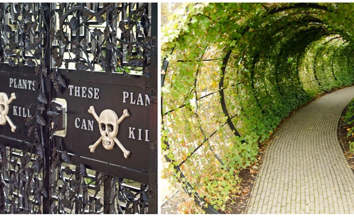 Khám phá khu vườn "chết người" nổi tiếng nhất thế giới, có thể mất mạng khi tham quan nơi đây