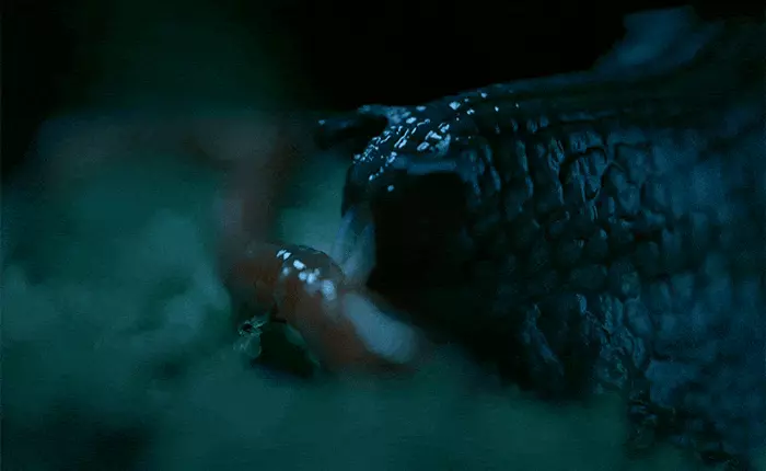 Xem cảnh ốc sên nuốt trọn giun đất xong có lẽ sẽ khiến bạn ám ảnh món mì spaghetti một thời gian đấy