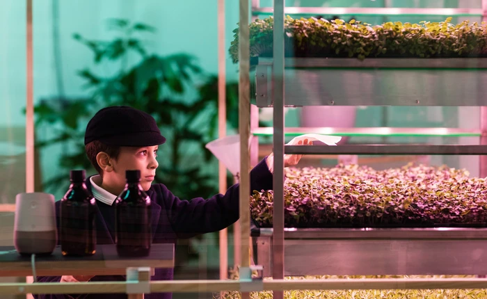 Mô hình thủy canh trong nhà của Ikea giúp cây xanh phát triển nhanh gấp 3 lần trồng ngoài vườn