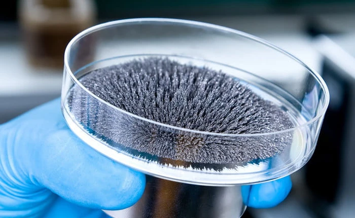 Các nhà khoa học đã tìm ra cách chế tạo nam châm siêu mỏng có độ dày chỉ 1 nguyên tử