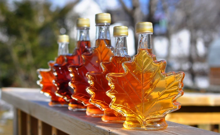 Một phương thuốc dân gian của Canada có thể giúp giảm hơn 90% liều kháng sinh mà vẫn giết chết siêu vi khuẩn