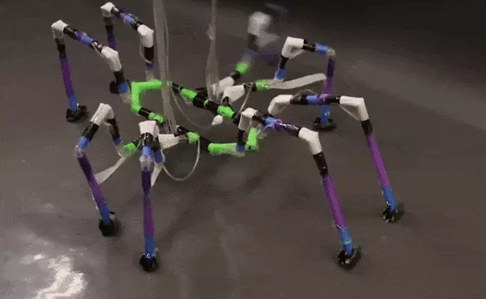 Nghiên cứu sinh ở Harvard tạo ra robot nhện chỉ bằng ống hút