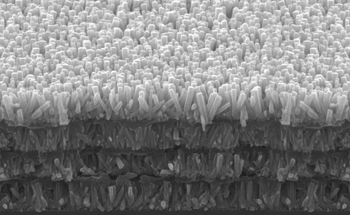 Răng bạn chính là chìa khóa để các nhà khoa học tạo ra loại vật liệu mới dùng trong chế tạo máy bay