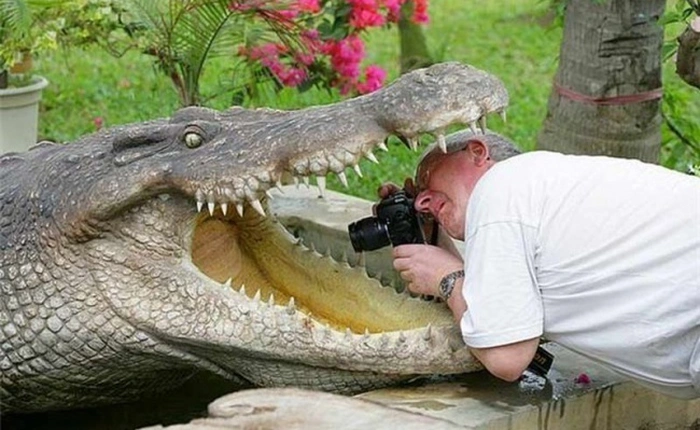 Ai nói với bạn nhiếp ảnh là một nghề đơn giản thì hãy cho họ xem những bức ảnh này