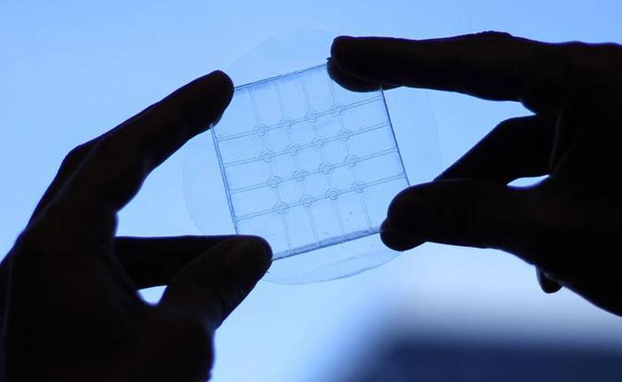 Màn hình cảm ứng siêu linh hoạt này chính là tương lai của smartphone “co dãn”