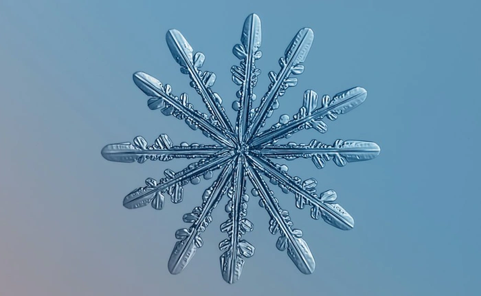 Ngắm bộ ảnh bông tuyết tuyệt đẹp chụp bằng máy ảnh và ống kính cổ lỗ sĩ giá chỉ hơn 3 triệu