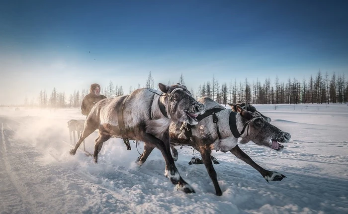 Những hình ảnh ấn tượng nhất lọt vào chung kết cuộc thi ảnh Smithsonian lần thứ 14 của Mỹ