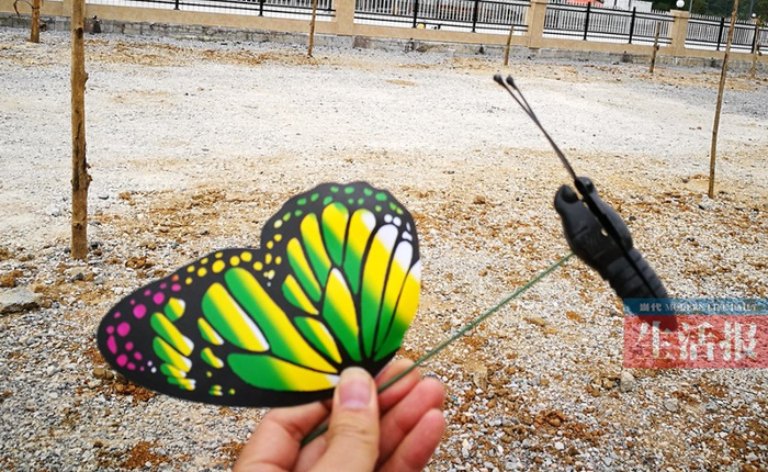 Trung Quốc: Hết cánh cụt bơm hơi, một vườn thú ở Quảng Tây tiếp tục bắt du khách mua vé để vào xem... bướm nhựa